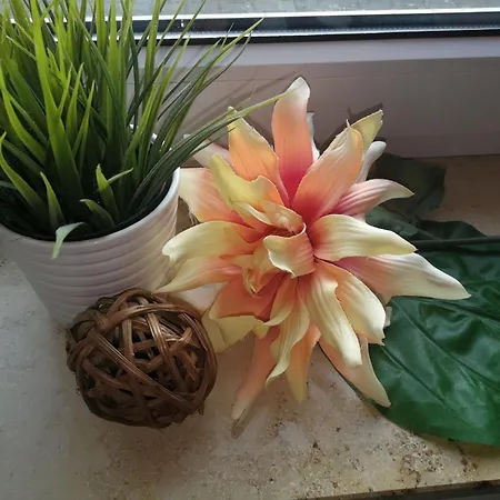 شقة Daeubler Hayingen